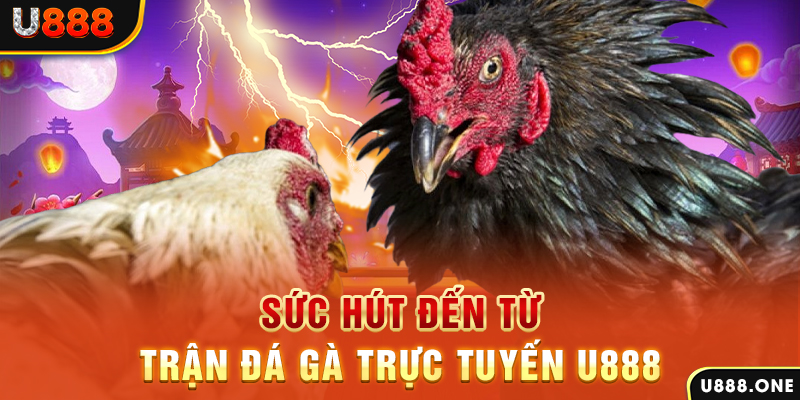 u888 vip đá gà trực tiếp c1
