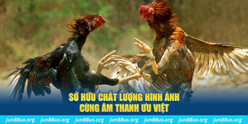 u888 vip PP Điện Tử