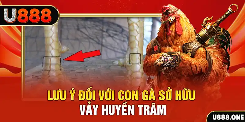 u888 vip kết quả xổ số miền nam hôm nay