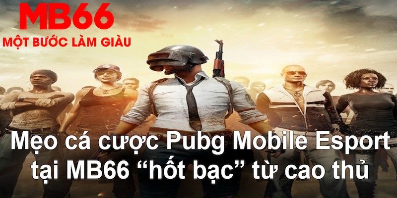 u888 vip VA Bắn cá