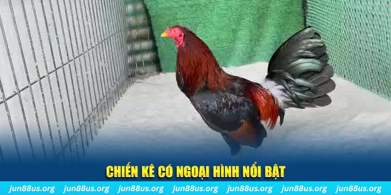 u888 vip game nổ hũ là gì