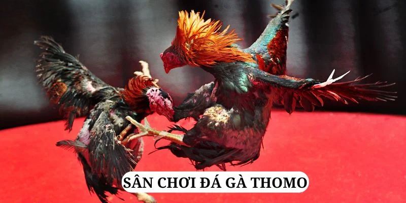 u888 vip trực tiếp xổ số miền bắc